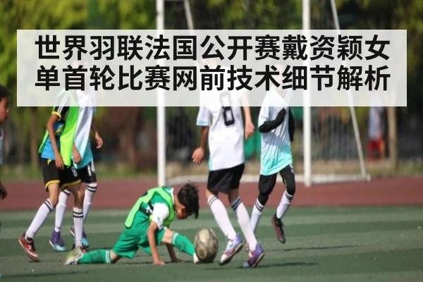 世界羽联法国公开赛戴资颖女单首轮比赛网前技术细节解析